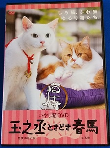 春馬の値段と価格推移は 1 435件の売買情報を集計した春馬の価格や価値の推移データを公開 春馬の値段と価格推移は 1 435件の売買情報を集計した春馬の価格や価値の推移データを公開