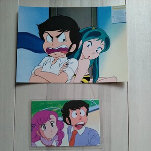 【うる星やつら】ラムあたるのポストカード&トレカ