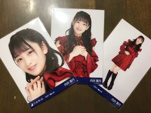 乃木坂46 向井葉月 生写真 スペシャル衣装30 ヨリ チュウ ヒキ 三種 コンプ 2021 March