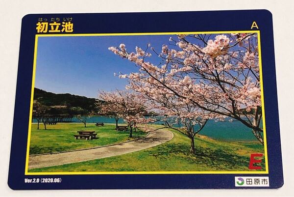 ダムカード 初立池 桜