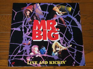 LD♪ミスター・ビッグ♪MR. BIG LIVE AND KICKIN'　東京・NHKホール