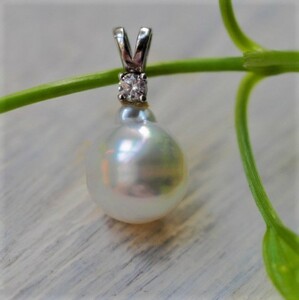  south . pearl SV pendant top 11mm