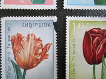 アルバニア切手　1971年　チューリップの花シリーズ　　　5～20ｑ　異種交配によるいろいろな花　8種完　使用済み_画像6