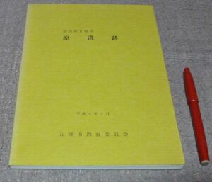 奈良県五條市　原遺跡　奈良県立橿原考古学研究所　編　五条市教育委員会　/　奈良県　五條　遺跡