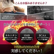 ULBO HMB ダイエットサプリ BCAA カルニチン &リポ酸 三大燃焼成分配合 30日分_画像3