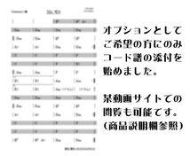 YTS-100　シャドウズカラオケ　アルゼンチンよ泣かないで　試聴OK　コード譜閲覧可　Shadows　Don't Cry For Me Argentina_画像8