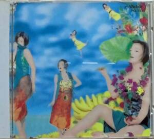 酒井法子♪CD【同梱可】品質保証♪マンモス