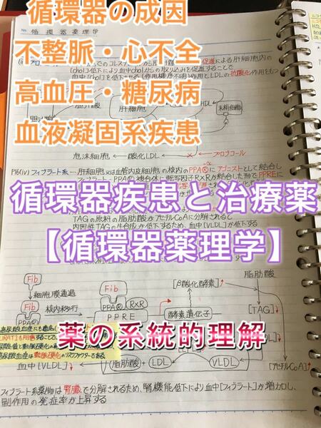 看護師、准看護師国家試験、学科定期試験対策シリーズ【循環器疾患】まとめノート