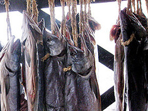 ましけ 鮭とばロングタイプ 350g 北海道増毛産サケトバ。「酒の肴」にぴったりの燻製！鮭トバ_画像9