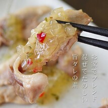 今夜のごはんにわたしも混ぜて500ml(万能旨ダレの素)合わせダレの今夜のご飯に私も混ぜて ザクザク玉ネギたっぷり 調味料と簡単まぜるだけ_画像3