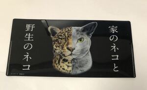 家のネコと野生のネコ 特典 マスクケース　(ミニクリアファイル)
