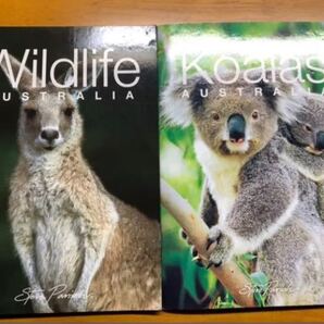 英語 本 オーストラリア コアラ カンガルー 中学 高校 勉強