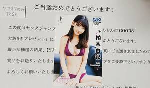  Young Jump 2013 год . pre QUO card Kashiwagi Yuki AKB48