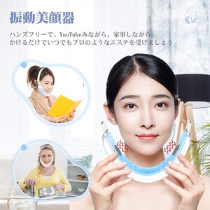 美顔器 ems 青光 赤光 温熱ケア 小顔 5in1美顔器