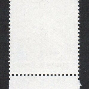 切手 銘版付 アホウドリ 自然保護シリーズの画像2