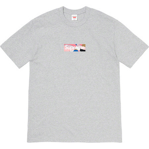 XL Supreme Emilio Pucci Box Logo Tee シュプリーム エミリオ プッチ ボックスロゴ Tシャツgrey x dustypink