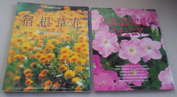 古本 毎年花咲く宿根草花 & あふれるように咲くペチュニア 園芸 ガーデニング