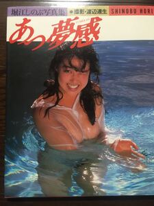 堀江しのぶ 写真集 ポスター付き あっ夢感
