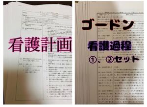 看護計画 ★ ゴードン 看護過程 セット (^^)