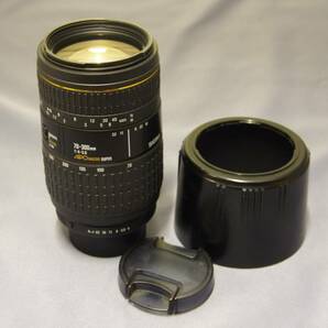 SIGMA APO MACRO 70-300mm F4.5-5.6 貴重なKAマウント！テレマクロから遠景までこなせる、軽量コンパクトで描写も素晴らしい～！AF難ありの画像7