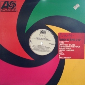 12inchX2レコード BRANDY / WHO IS SHE 2 U (DANCE MIXES)