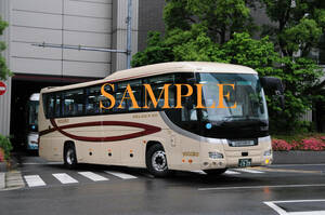 D[ автобус фотография ]L версия 1 листов yasaka туристический Selega 