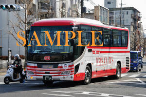 D【バス写真】Ｌ版１枚　京阪バス　セレガ　定期観光バス