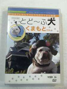 　中古DVD『とど～ふ犬　くまもと』セル版。コスプレわんちゃんたちのすてきな物語。45分。同梱可能。即決。