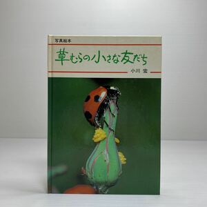 z5/写真絵本 草むらの小さな友だち 小川宏 新日本出版社 ゆうメール送料180円