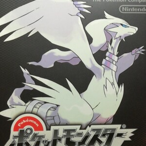 ポケットモンスターブラック