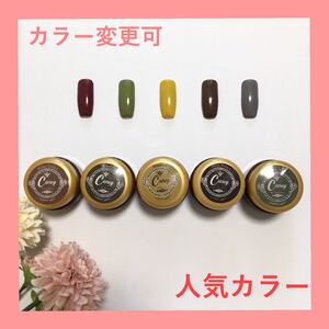【カラー変更可】人気カラージェル ジェルネイル
