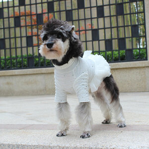 犬の服 お嬢様オシャレワンピース ビッグ ワンちゃん服 弾性 イベント、誕生日、パーティー、写真撮影の時にもこのペット服を着ます