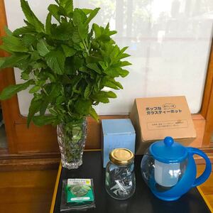 ガラスティーポット&蓋つきハーブティーカップ他