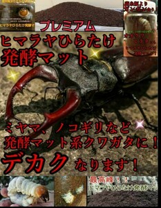 進化した！プレミアム発酵クワガタマット☆ひらたけ菌床を微粒子に！3次発酵！栄養添加剤・共生バクテリア３倍配合！究極のプロ仕様　5L