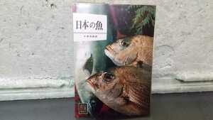  japanese fish end .. male 