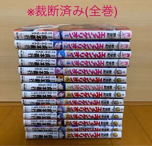 新世紀エヴァンゲリオン 全巻セット 全巻 裁断済
