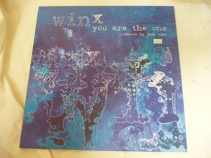 Winx / You Are The One テッキー・サウンド 12 HOUSE DJ Sneak 試聴