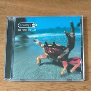 【prodigy】the FAT of the land