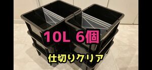【春一メダカ】メダカ飼育容器　10L 6個 仕切りクリア6枚