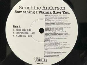 Sunshine Anderson / Something I Wanna Give You