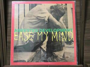 Arrested Development // Ease My Mind / Shell オリジナル盤 Chrysalis