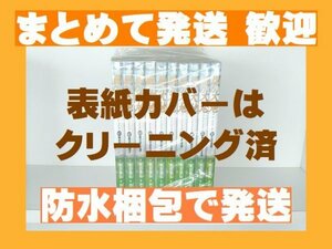 【即決】 風の大地 かざま鋭二 [41-50巻 10冊セット] 【風の大地 分売セット】