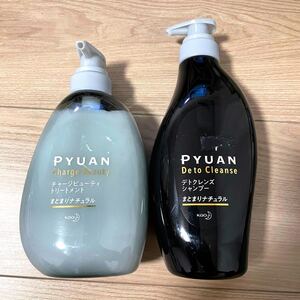 ピュアン デトクレンズシャンプー&トリートメントまとまりナチュラル ポンプ