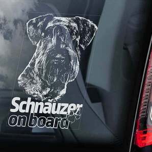 ◆送料無料【シュナウザー ②】外張り カーステッカー 160×100mm 外貼り カー ステッカー シール DOG ON BOAD@ D2 3209