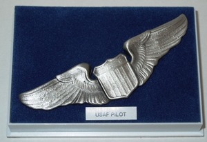 USAF Pilot Wing 