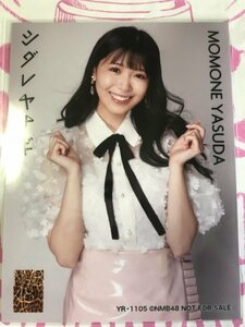 安田桃寧　生写真　シダレヤナギ　封入特典　NMB48 硬貨ケース付き