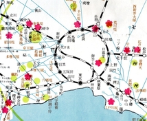 春　東京鉄道局パンフ　東海道方面臨時列車時刻表・柏尾川堤小金井堤熊谷堤土浦堤清水公園熱海魚見崎箱根小涌谷修善寺三里塚等桜行楽地案内_画像5