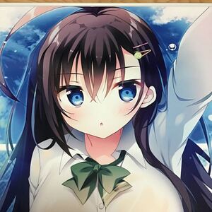 メロンブックス (白もち桜) うりぼうざっか店 両面WスエードB2タペストリーの商品画像