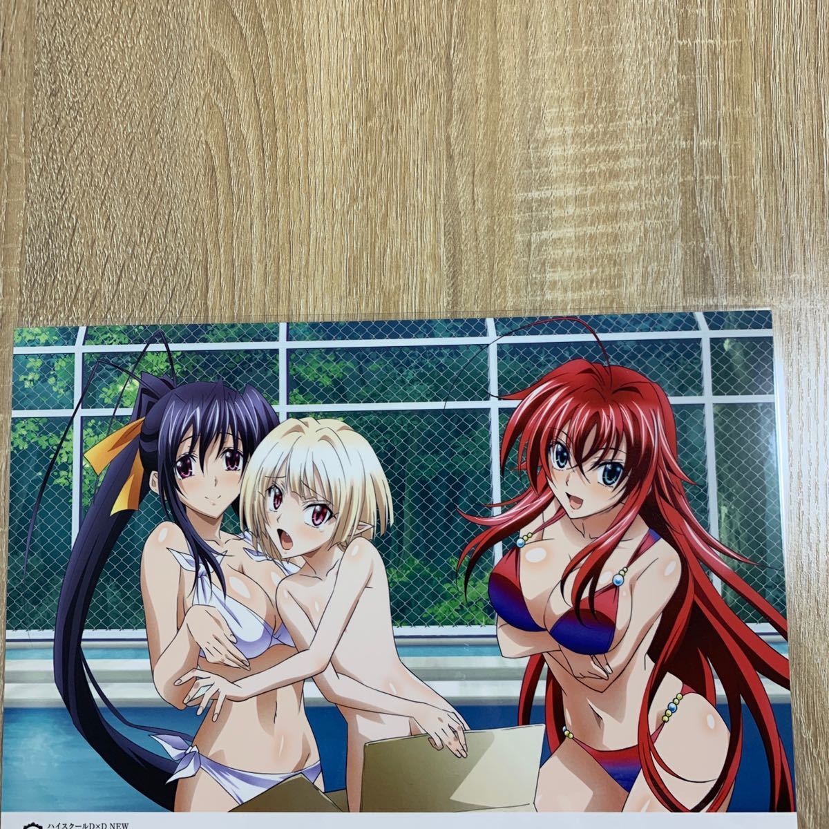 一部予約 Hero ハイスクールd D 新品 アートプレート ムービック 限定 96 コミケ 姫島朱乃 その他 Labelians Fr