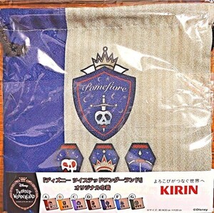 ディズニーツイステッドワンダーランドオリジナル巾着Eサイズ約20×20cm